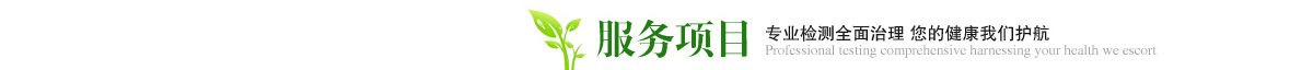 贵阳除甲醛公司 - 服务项目 贵阳除甲醛公司 - 服务项目