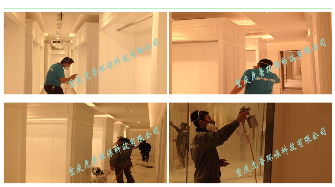 重庆除甲醛公司 重庆除甲醛公司