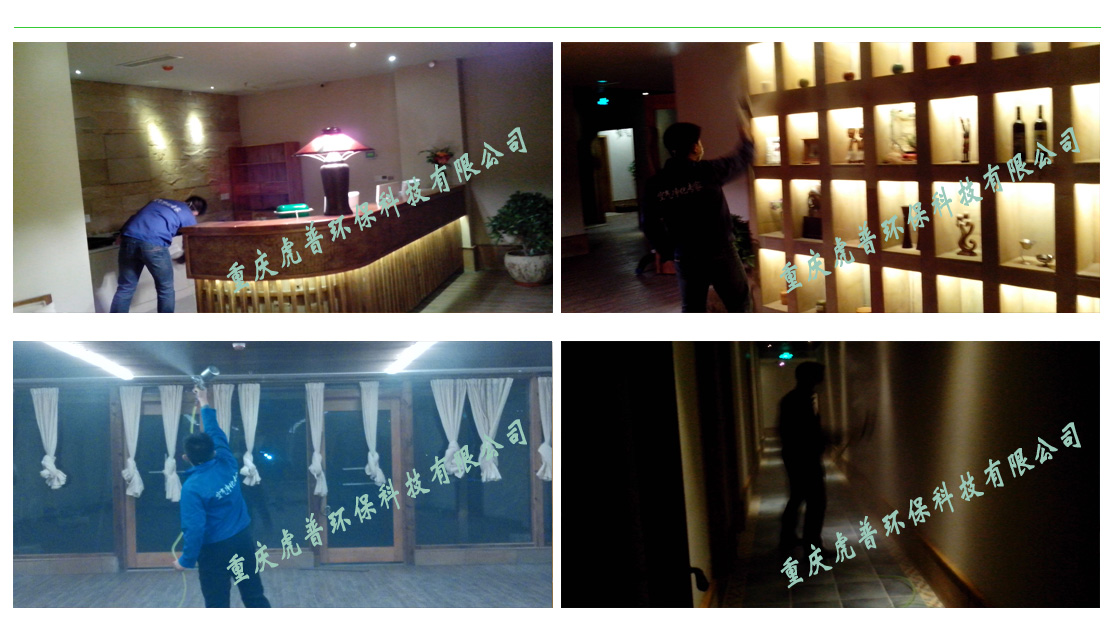 重庆除甲醛公司 重庆除甲醛公司