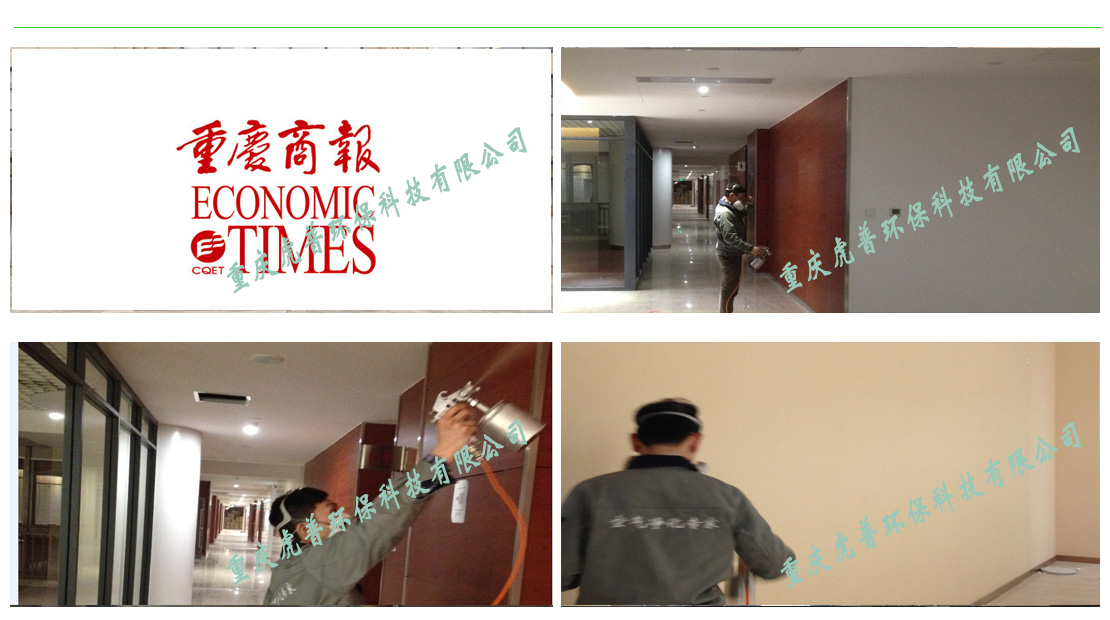 重庆除甲醛公司 重庆除甲醛公司