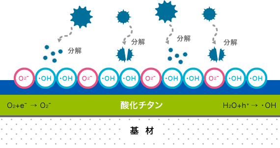 �������ѹⴥý��Ӧ��