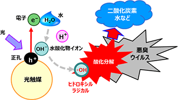 �ⴥý����ȩ�����Ե���ս