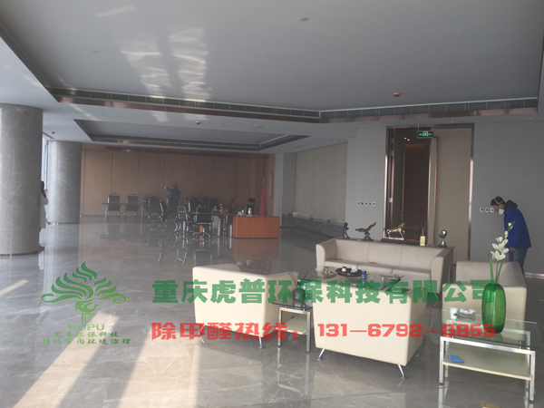 �����ȩ����