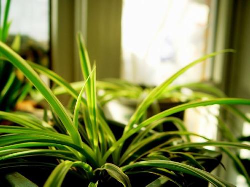 �������ȩ��˾