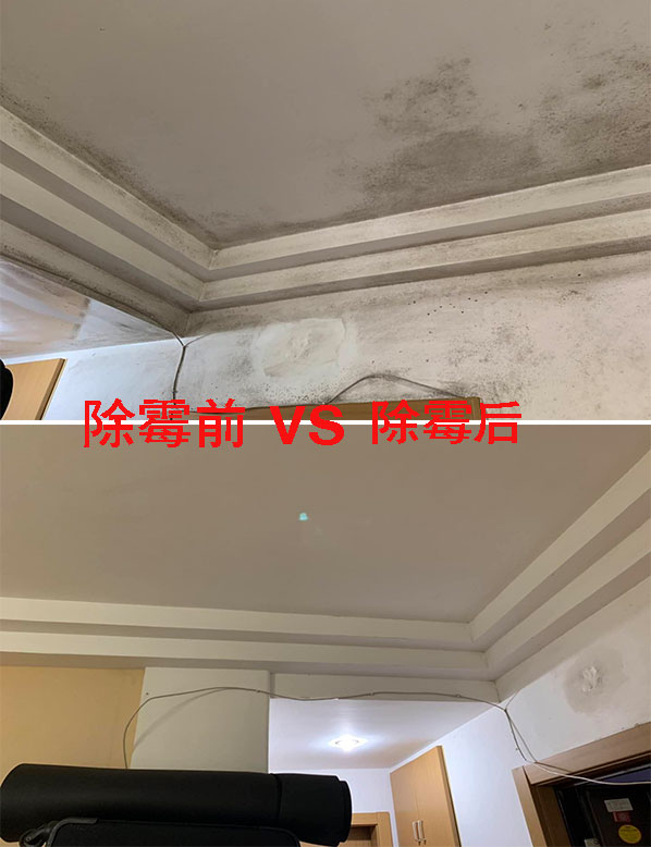 �����ù��˾-�๦�ܽ��ڳ�ù��-���ٳ�ù-�������ù