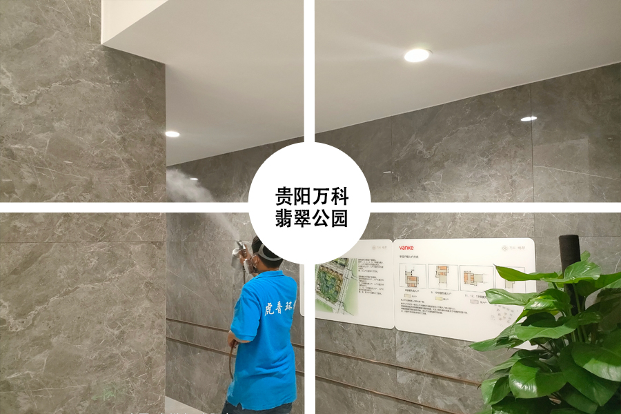 ������ȩ���